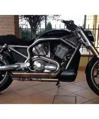 Harley Davidson Harley Davidson