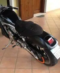 Harley Davidson Harley Davidson