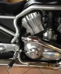 Harley Davidson Harley Davidson