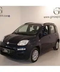 FIAT Panda 1.2 Lounge - AZIENDALE FIAT Panda 1.2 Lounge - AZIENDALE