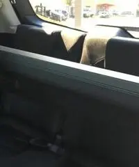 NISSAN Qashqai+2 +2 2.0 16V Tekna 7posti NISSAN Qashqai+2 +2 2.0 16V Tekna 7posti