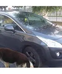 Peugeot 3008 Peugeot 3008
