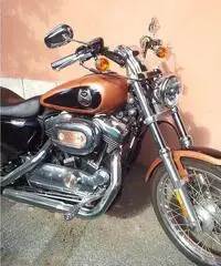 HARLEY DAVIDSON 1200C SPORTSTER CUSTOM