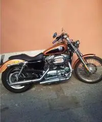 HARLEY DAVIDSON 1200C SPORTSTER CUSTOM
