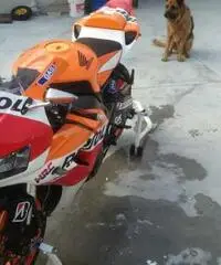 Cbr 1000 rr replica gp 2013 Cbr 1000 rr replica gp 2013