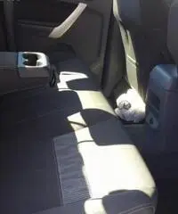 FORD Ranger 2.2 TDCi Doppia Cabina XLT 5pt.