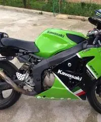 NINJA ZX6R PRONTO PISTA NINJA ZX6R PRONTO PISTA
