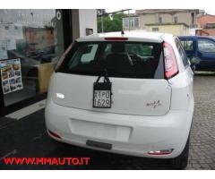FIAT Punto 1.2 8V 5 porte Street  KM O!!!!
