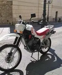 MITICO MORINI KANGURO 350