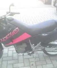 GILERA NORD WEST 600 GILERA NORD WEST 600