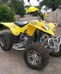 Quad 250 cc 4 tempi anno 2008