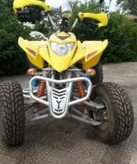 Quad 250 cc 4 tempi anno 2008