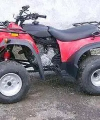 QUAD ADLY 300 QUAD ADLY 300