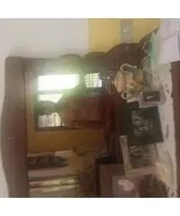 Cerco ragazza seria Cerco ragazza seria