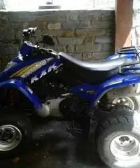 Kymko kxr 250 sports