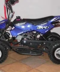 Mini quad 2013