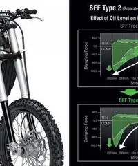 Kawasaki motocross kxf 250 mod. 2015 Kawasaki motocross kxf 250 mod. 2015