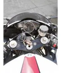 Yamaha R6 2006 Perfetta