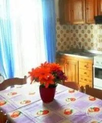 Appartamenti con giardino a pochi passi dal mare Appartamenti con giardino a pochi passi dal mare