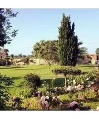 Villa 800 metri dal mare Villa 800 metri dal mare
