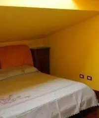 Ladispoli appartamento a 50 mt dal mare e centro Ladispoli appartamento a 50 mt dal mare e centro