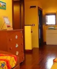 Ladispoli appartamento a 50 mt dal mare e centro Ladispoli appartamento a 50 mt dal mare e centro