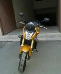 Honda Hornet 600 Dell 2008 Honda Hornet 600 Dell 2008