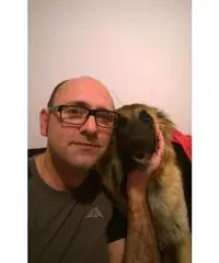 cerco donna da amare seria cerco donna da amare seria