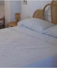 Appartamento a 50 mt dal mare Appartamento a 50 mt dal mare