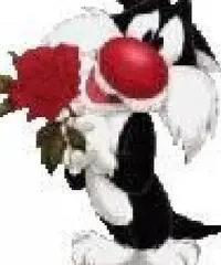 Uomo single cerca donna carina Uomo single cerca donna carina