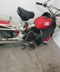 Casalini david Casalini david