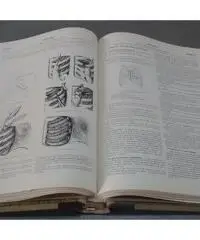 Encyclopedie medico= chirurgicale