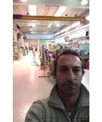 47 anni separato da 5 solo cerca donna seria e matura 47 anni separato da 5 solo cerca donna seria e matura