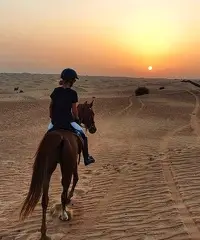 alla ricerca dell'amore