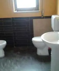 Muratore specializzato Muratore specializzato