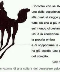 Master post laurea Master post laurea