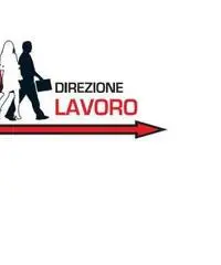 AGENTE PLURIMANDATARIO SETTORE ALIMENTARE AGENTE PLURIMANDATARIO SETTORE ALIMENTARE