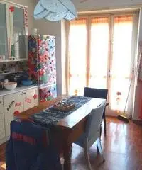 Affitto appartamenti  liberi ed uno ammobiliato diverse metrature. Affitto appartamenti  liberi ed uno ammobiliato diverse metrature.