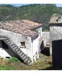 Casa di abitazione con magazzini e terreno Casa di abitazione con magazzini e terreno