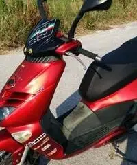 APRILIA LEONARDO 250