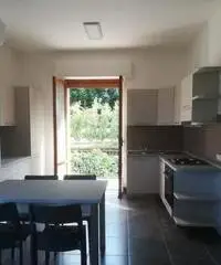 Affittasi appartamento in zona Aspio Vecchio