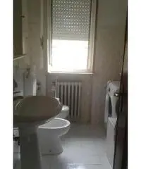 A COLORNO appartamenti e camere per studenti