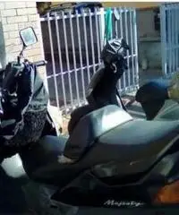 Yamaha 250 Majesty Yamaha 250 Majesty