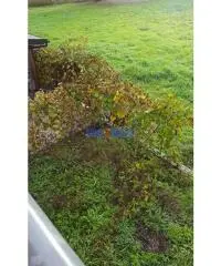 Villetta a schiera finale