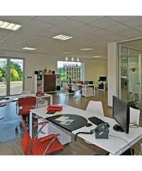 Agente Immobiliare Agente Immobiliare