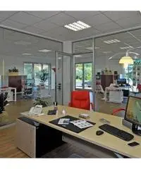 Agente Immobiliare Agente Immobiliare