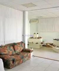 Capannone a Montramito Capannone a Montramito