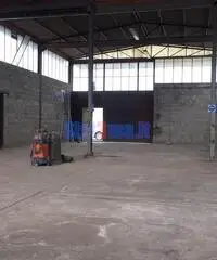 Capannone a Lunata Capannone a Lunata