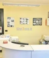 Capannone a Camaiore Capannone a Camaiore