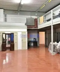 Capannone a Camaiore Capannone a Camaiore